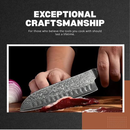 Fyntra | Elite Kitchen Knife Steel Set